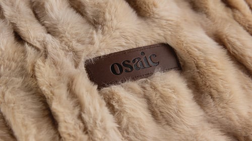 Case Study-Carousel-Osaic-5